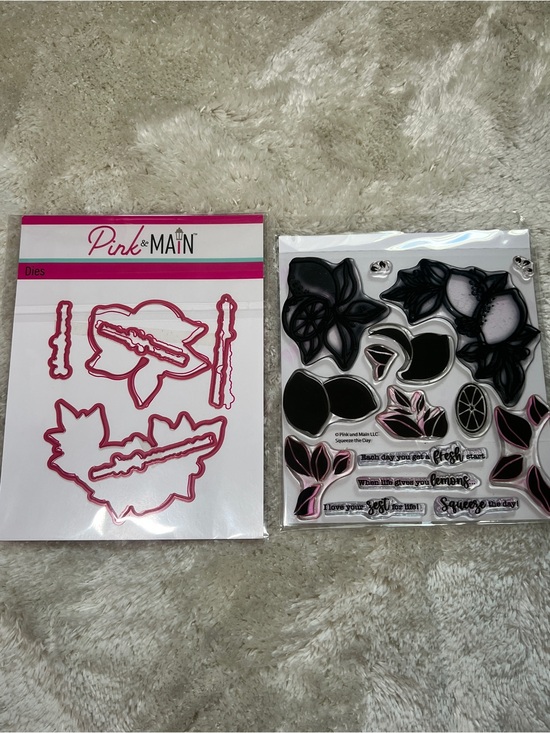 Pink & Main Other - Pink & Main Squeeze the Day Stamp and Die Cuts Set